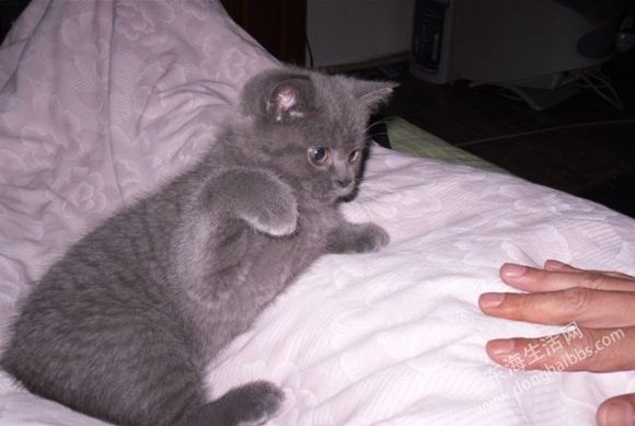 QQͼ20130723164942.jpg