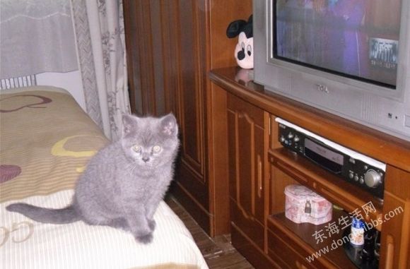 QQͼ20130723165009.jpg