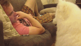 1.GIF
