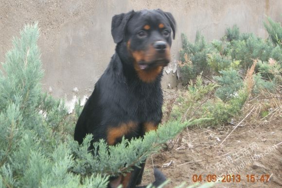 DSCN6606.JPG