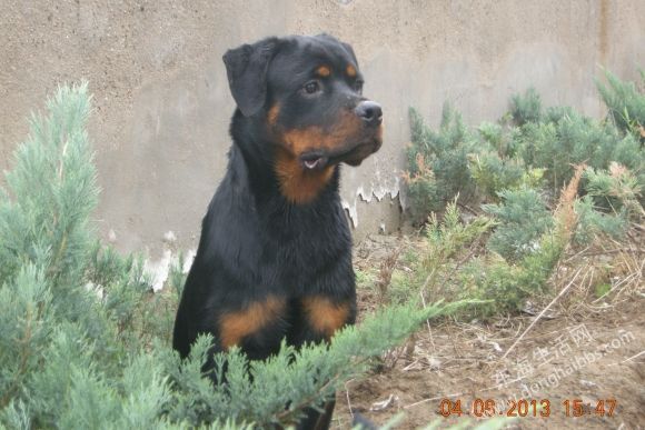 DSCN6607.JPG