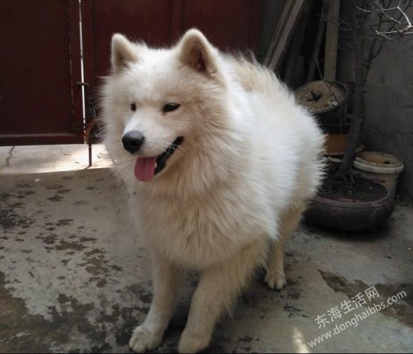 20120227151614363.jpg