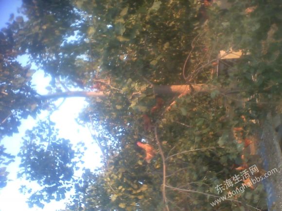 IMG_20131004_172317.jpg