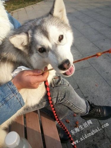 QQͼƬ20140104221833.jpg