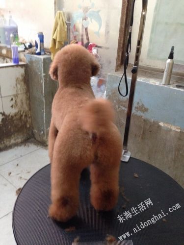 image.jpg