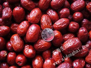 t0166f1783d350122e4.jpg