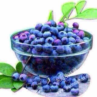 IMG_20140626_224718.jpg