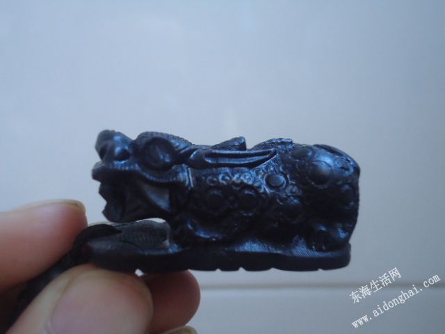 DSC05500.JPG
