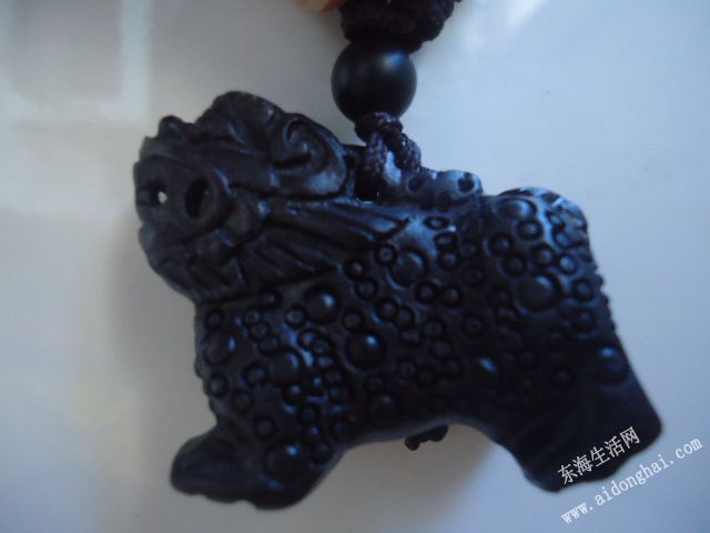 DSC05507.JPG