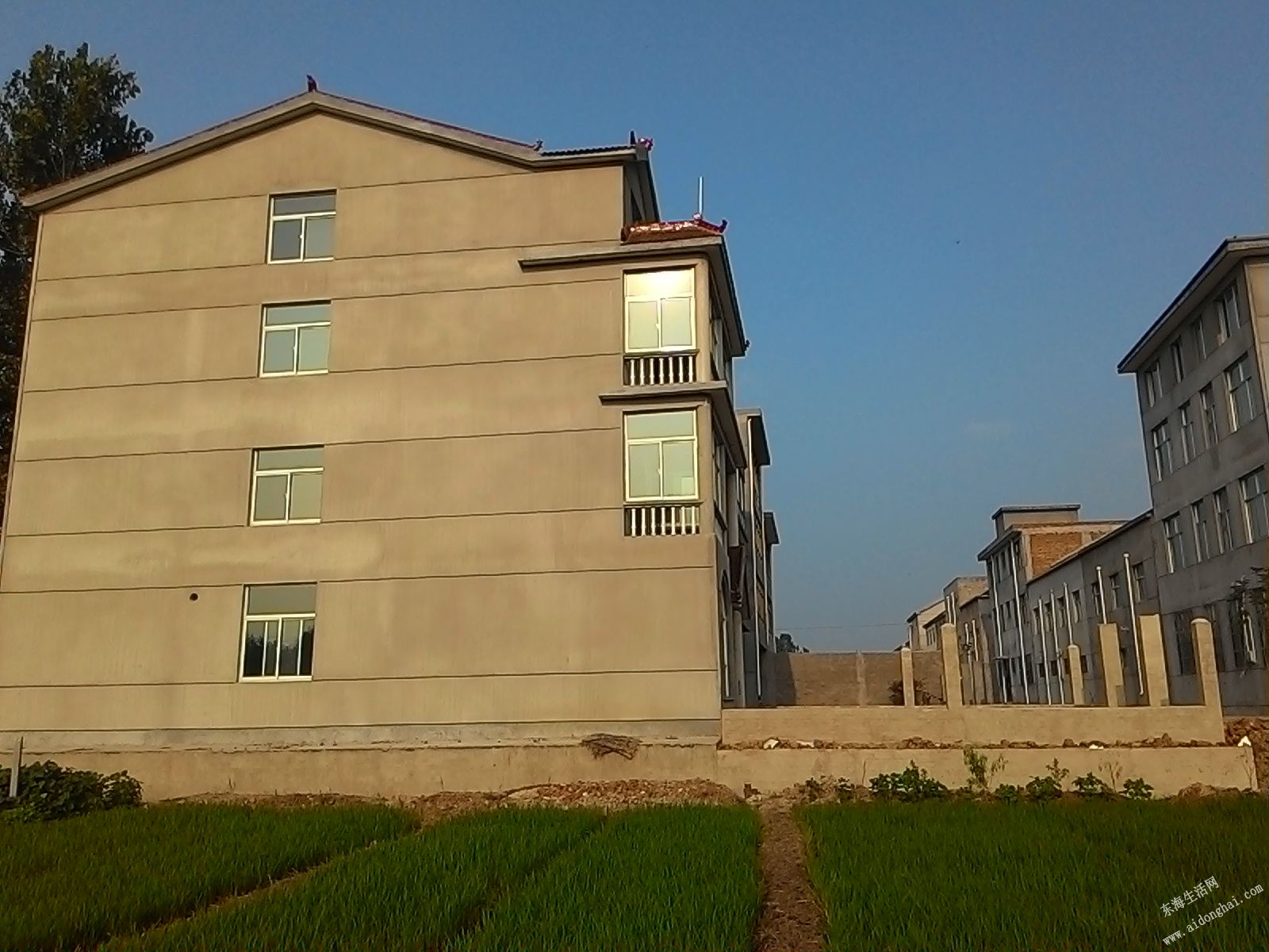 P_20140716_171001.jpg