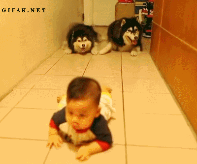 62c266224f4a20a465d1e30092529822700ed07a.gif