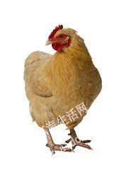 t01b1ec8af89cf315c1.jpg