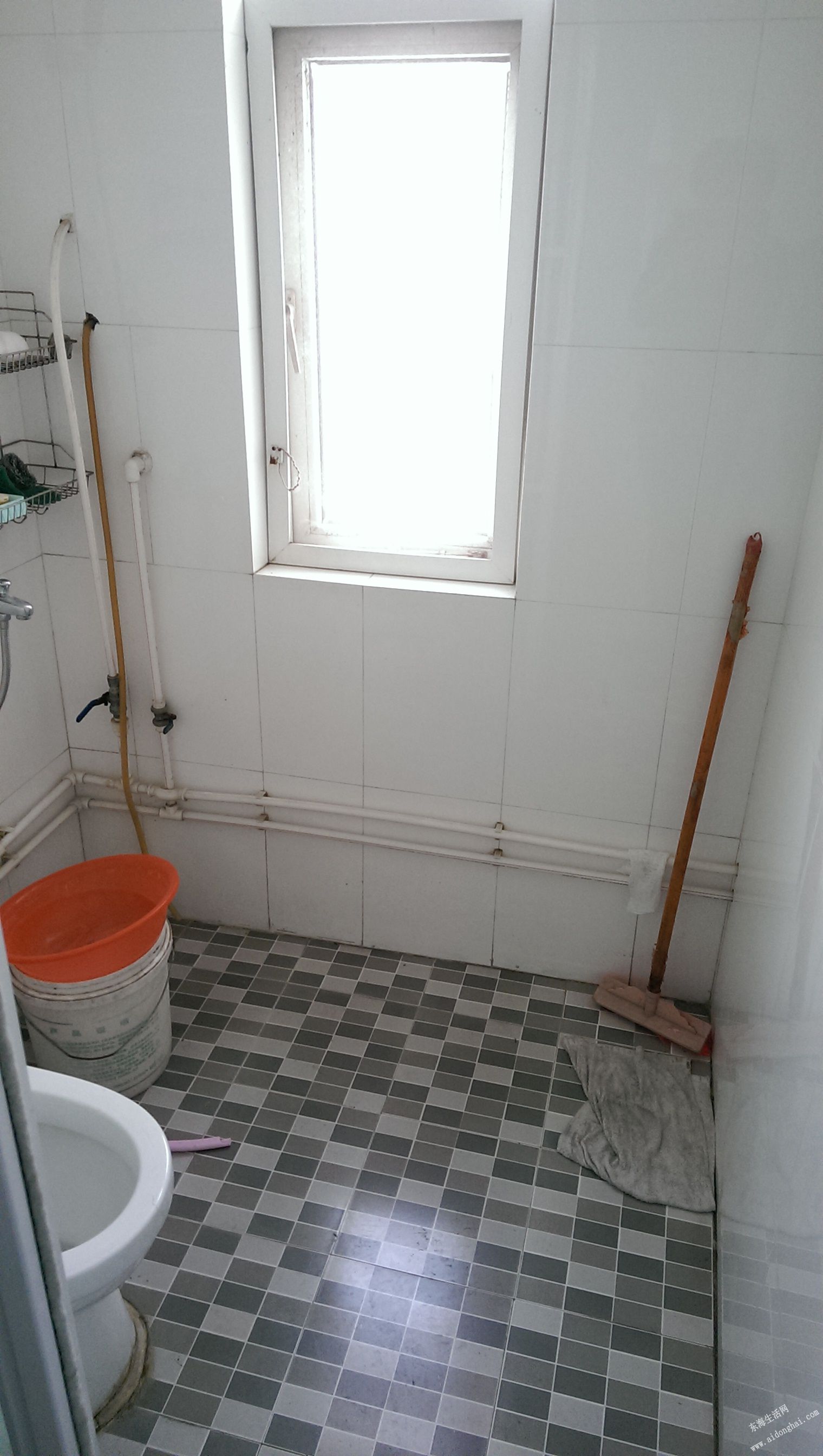 IMAG0529.jpg