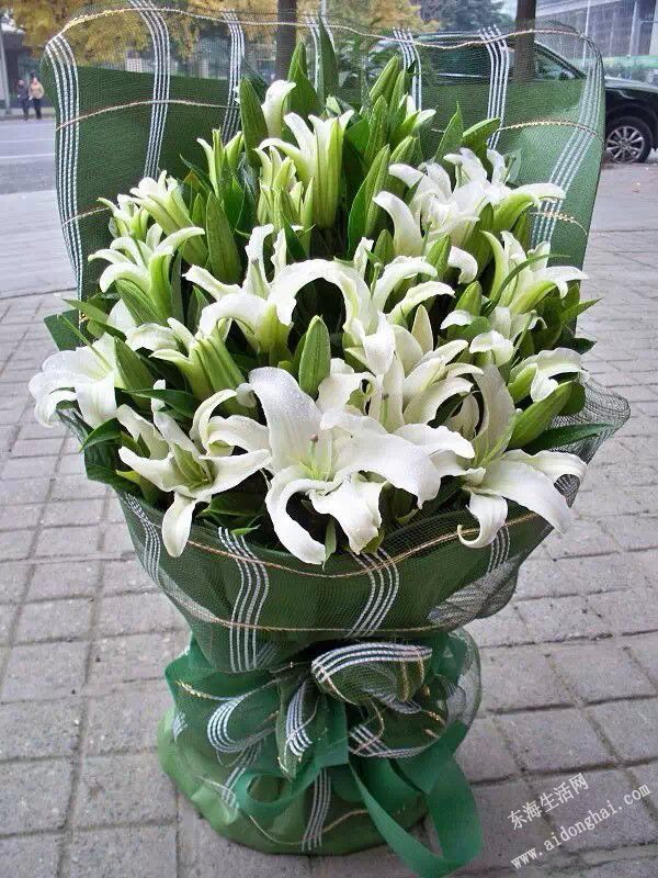 psb (1).jpg