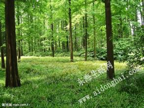 u=1703104185,2002497690&amp;fm=21&amp;gp=0.jpg