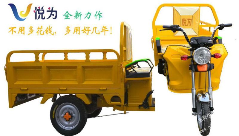 205854