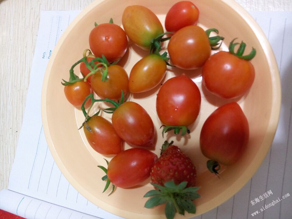 QQͼƬ20150503123406.jpg