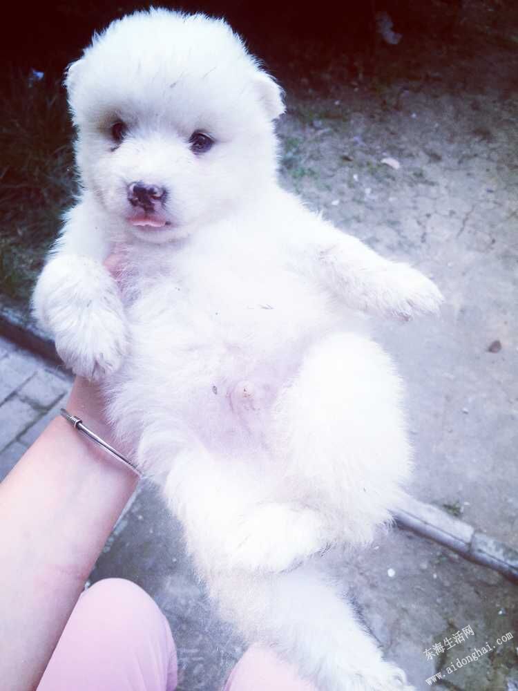 QQͼƬ20150720214919.jpg