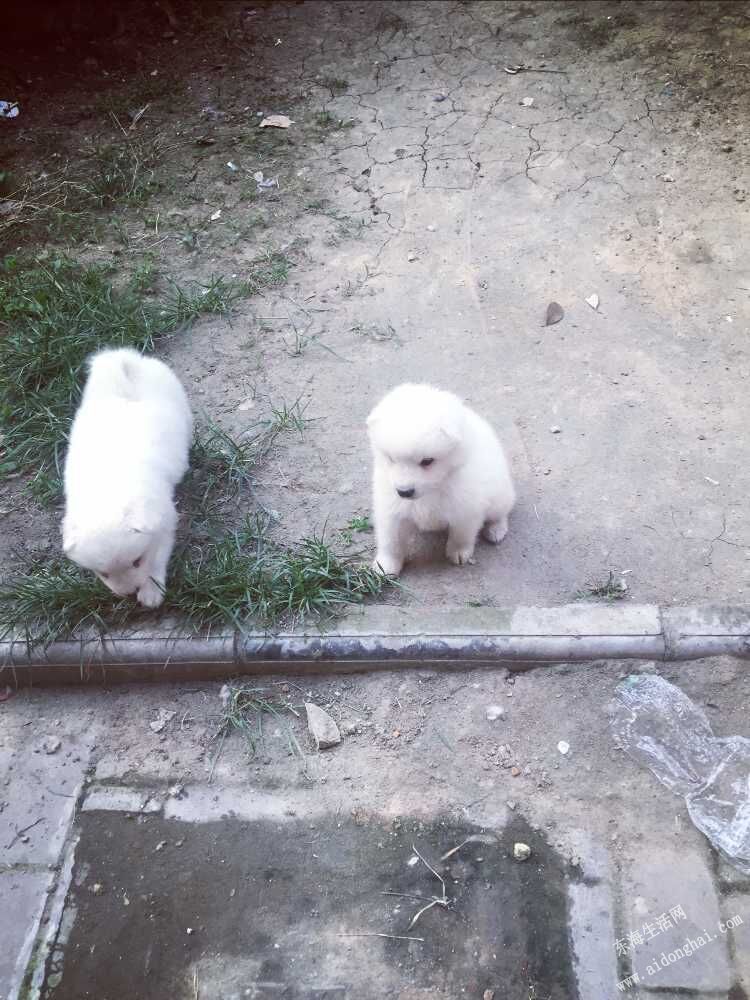 QQͼƬ20150720214909.jpg
