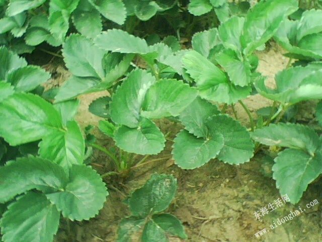 20137261136120.jpg