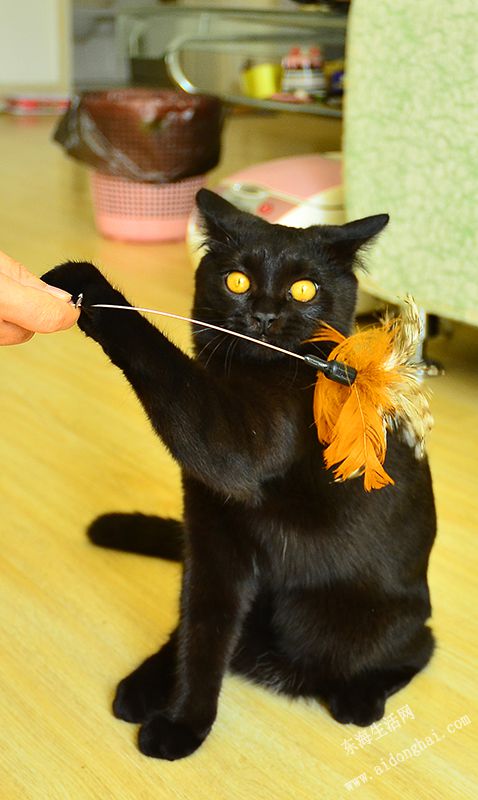 DSC_2352.JPG