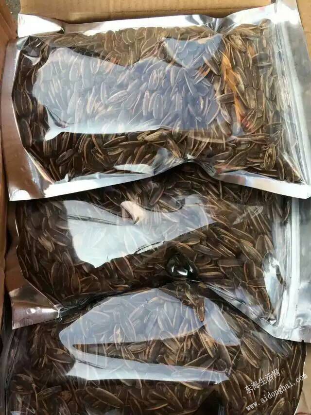 ǹ