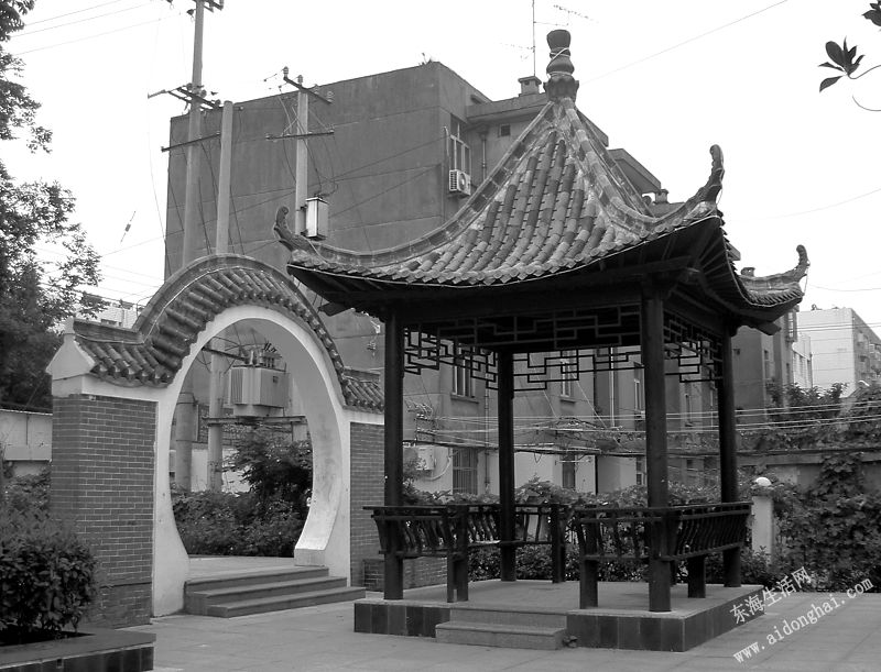 PICT8226.JPG
