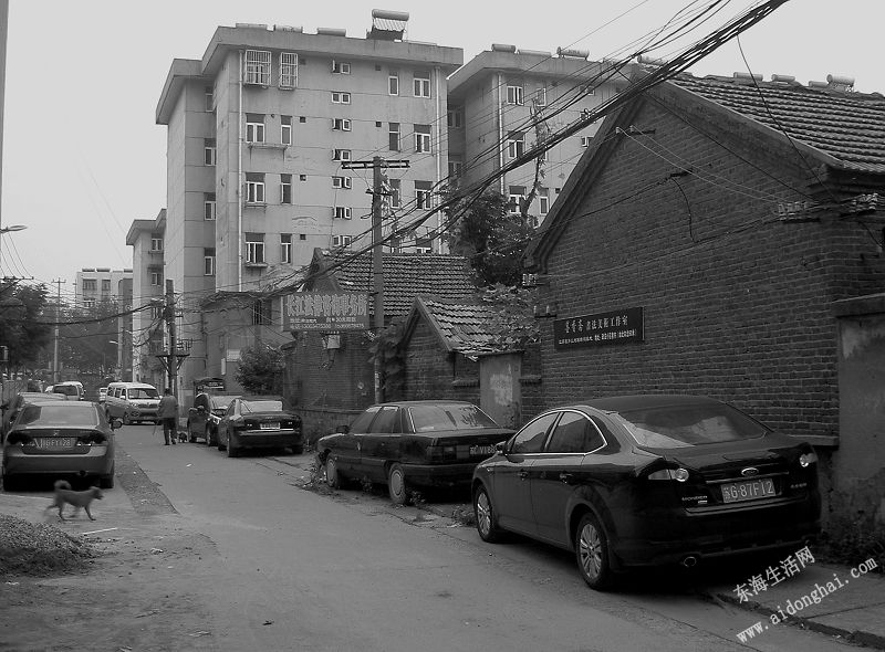 PICT8230.JPG