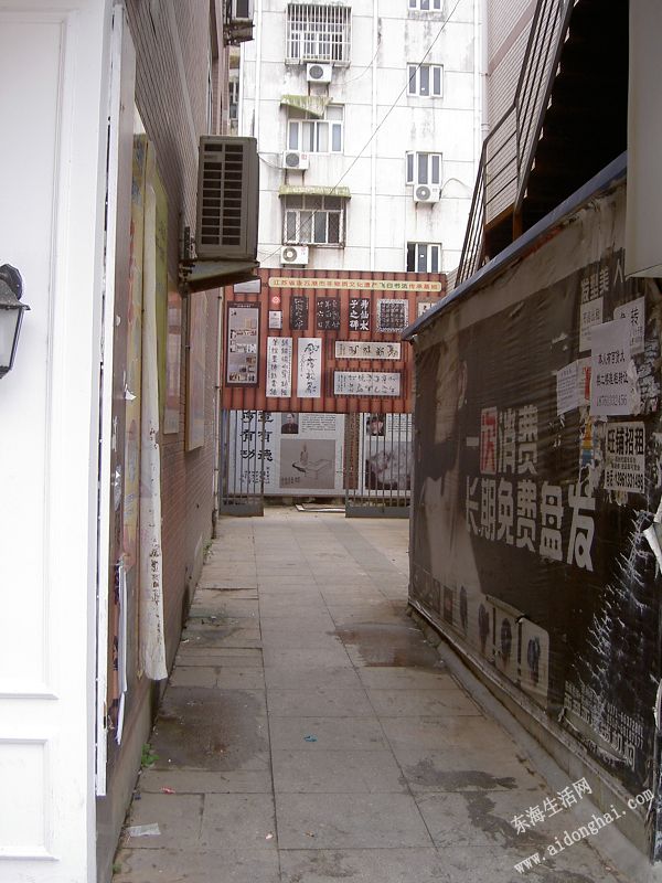 PICT8293.JPG