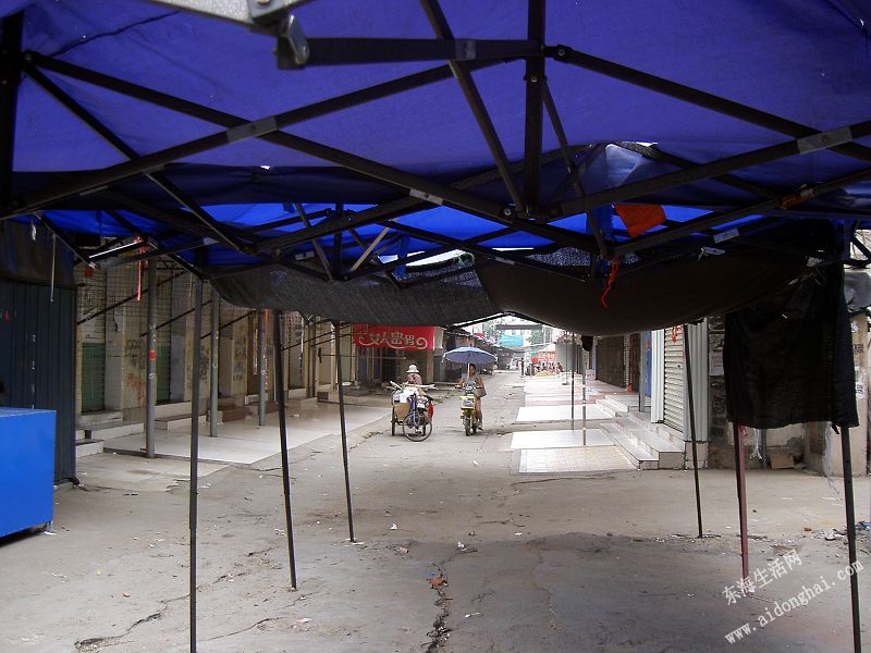 PICT8308.JPG