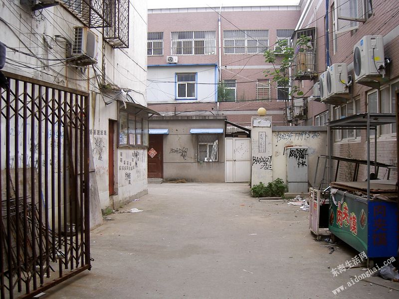 PICT8312.JPG