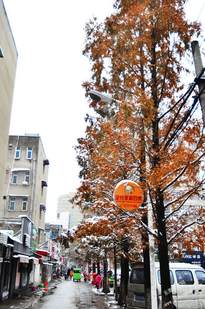 DSC_5783.JPG