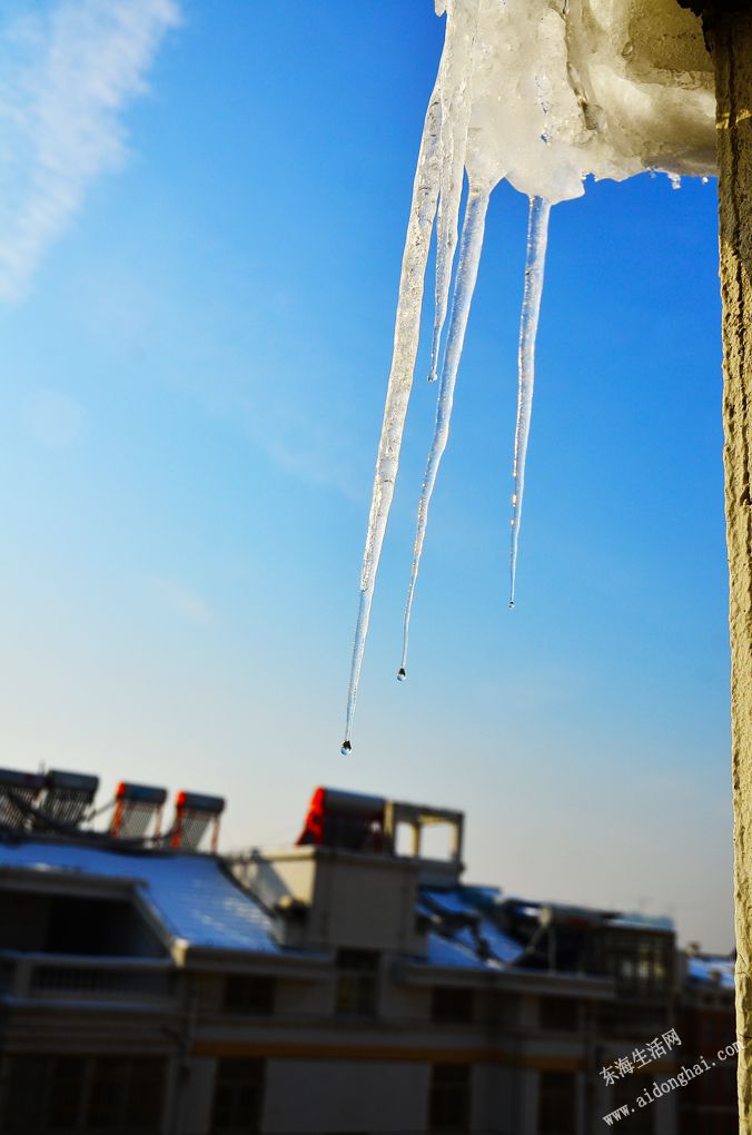 DSC_5931 - .JPG