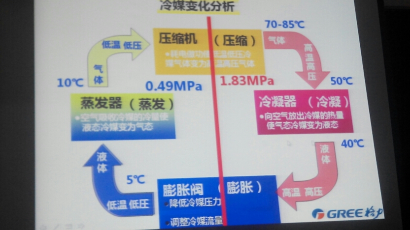 793XWXdXJ73w.jpg
