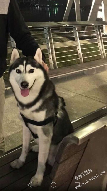 237289