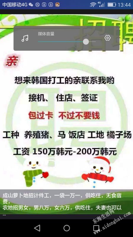 237394