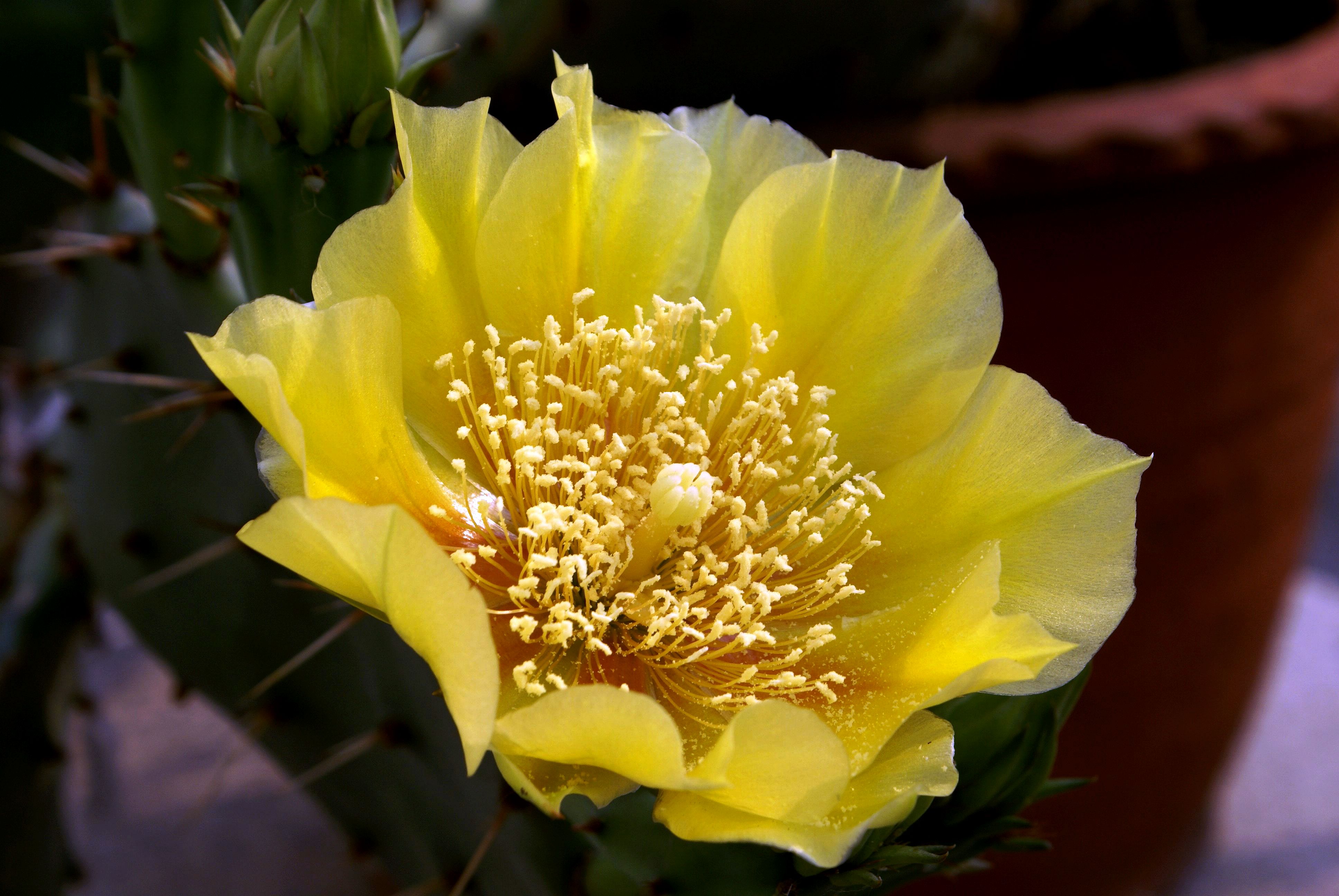 DSC01588-1.jpg