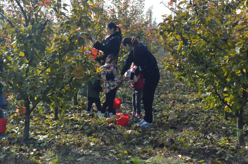 DSC_4107.JPG