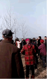 3.gif