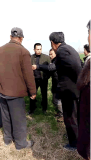4.gif
