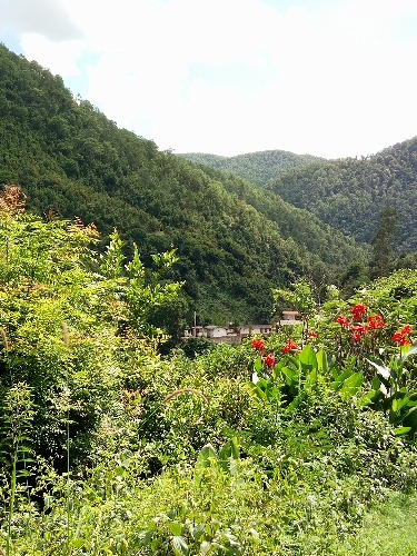 IMG20170820152028.jpg