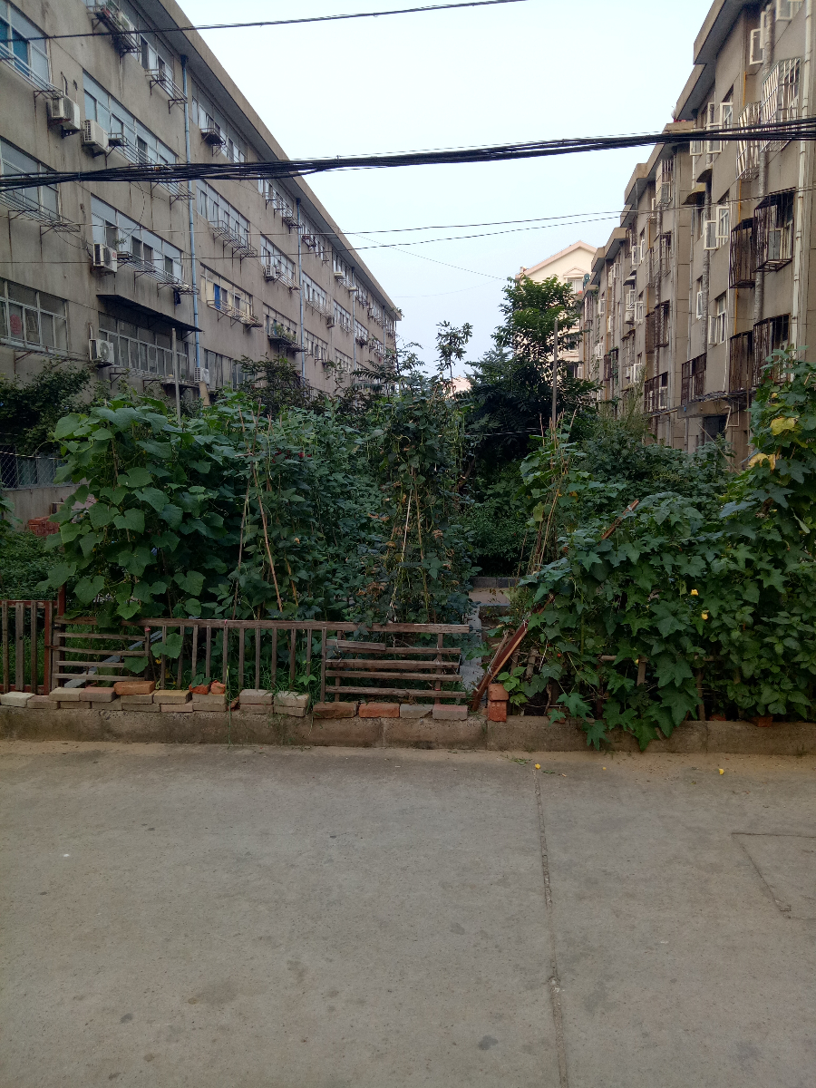 IMG20170816180550.jpg
