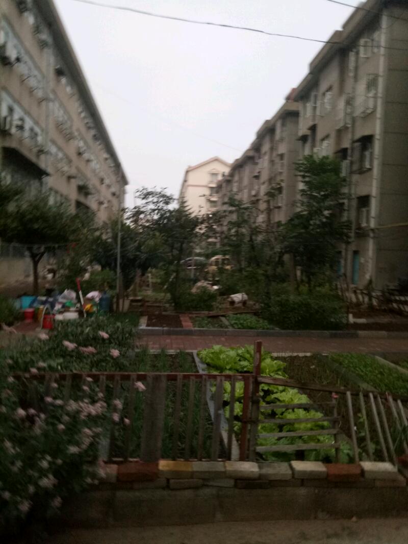 IMG20171011172553.jpeg