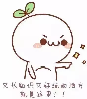 640.webp (2).jpg