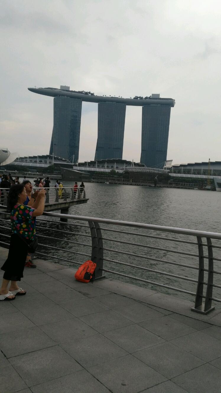 IMG_20171204_153843.jpeg