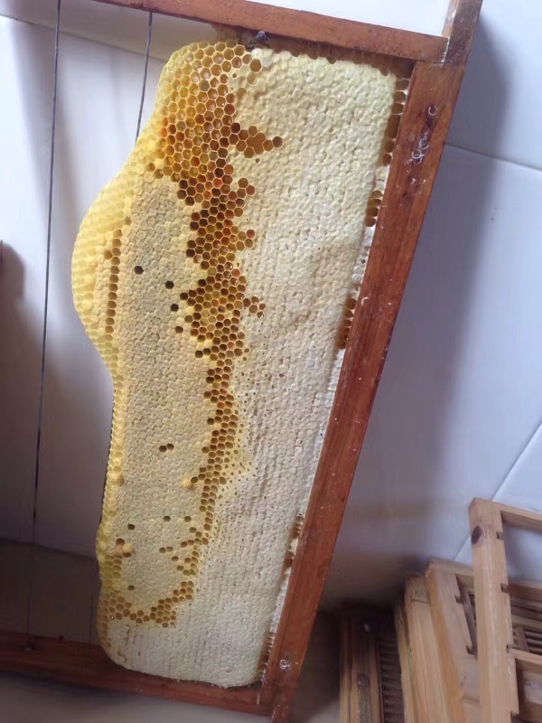 471627