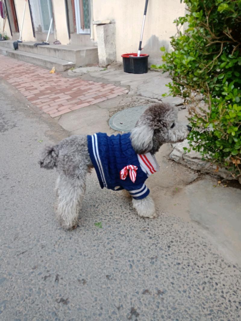 IMG20180413145945.jpeg