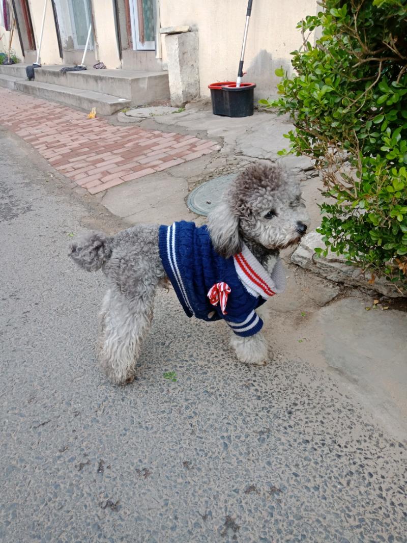 IMG20180413145946.jpeg