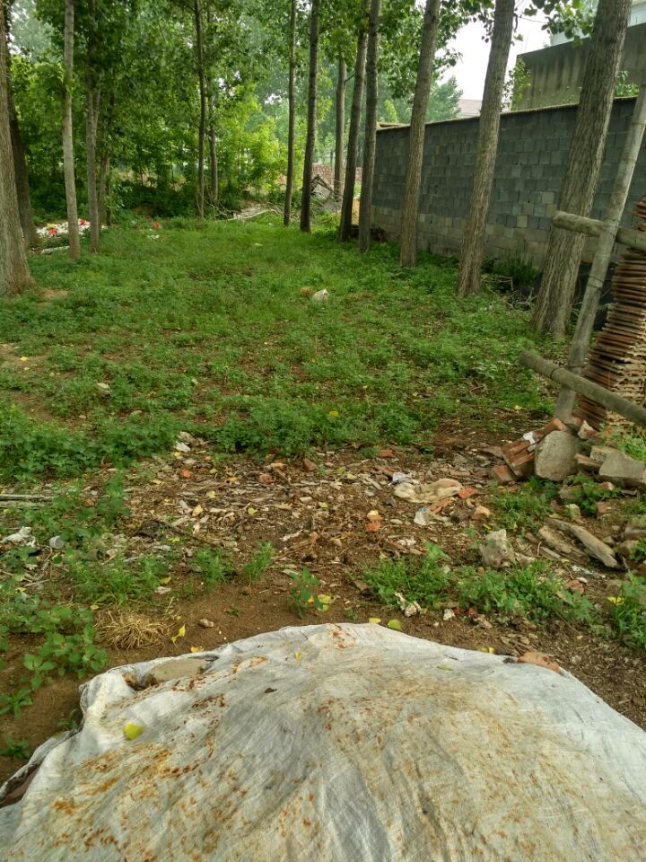 QQͼƬ20180501100723.jpg