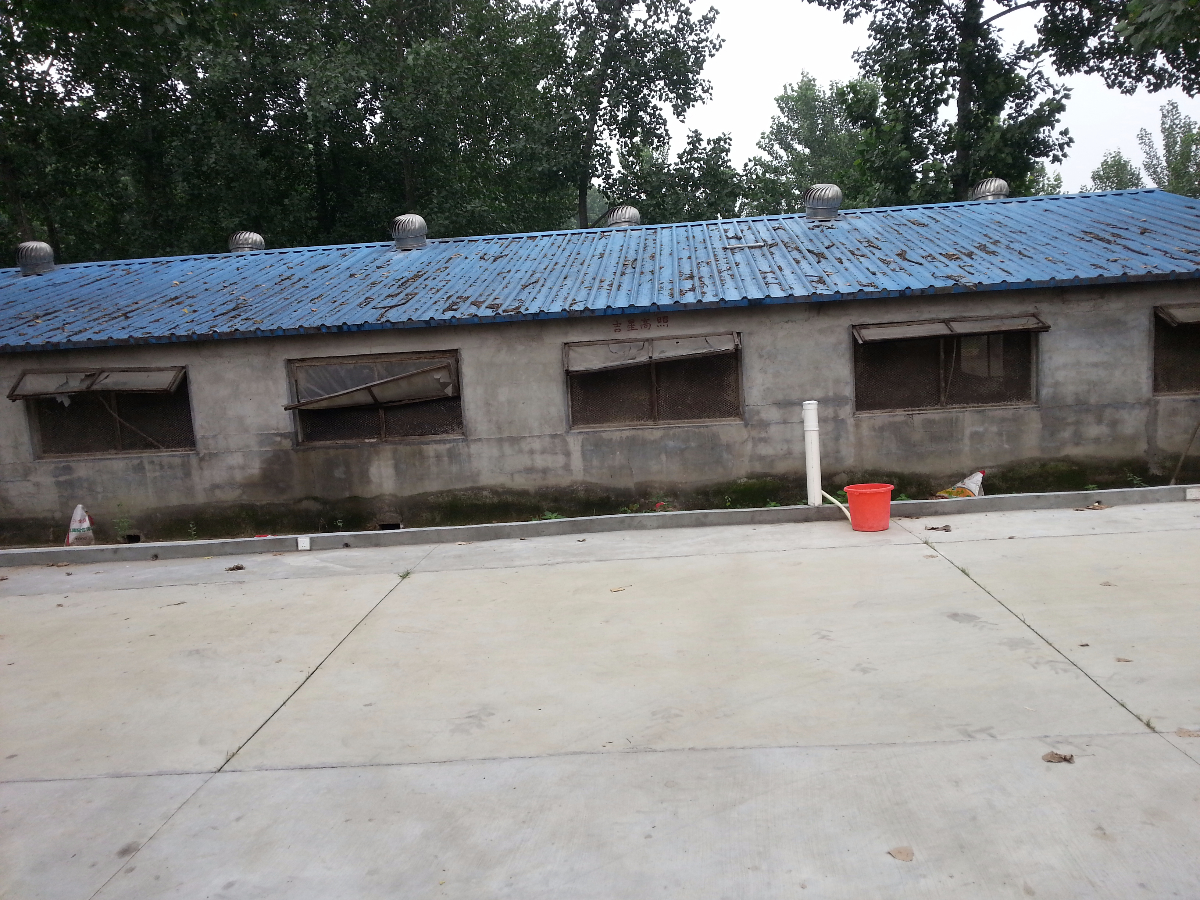 20170703_073616.jpg